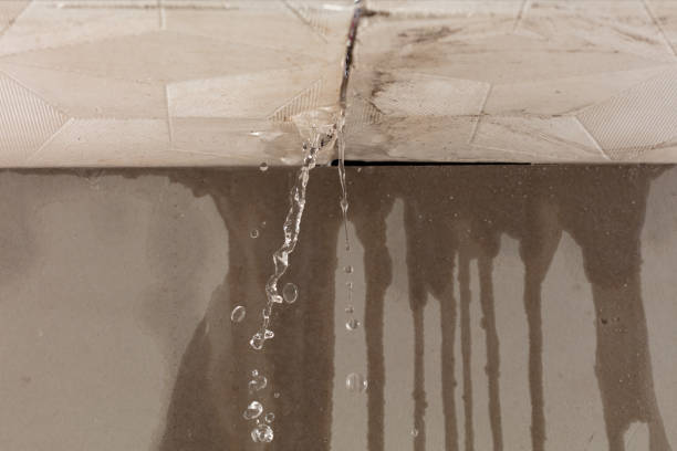 Professional Structural Drying technician working in Walled Lake, MI